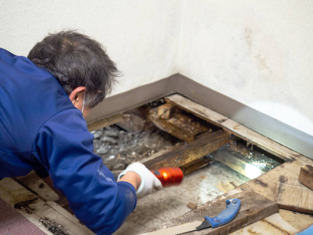 Best Post-Remediation Services in Texanna, OK