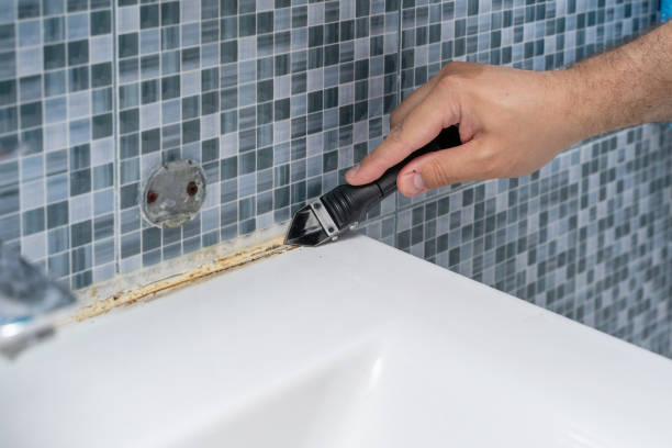 Best Residential Mold Remediation in Texanna, OK