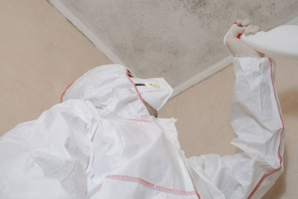 Best Mold Remediation for Specific Building Types in Texanna, OK
